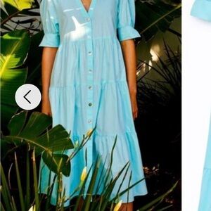 Zara Light Blue Midi Dress with Buttons